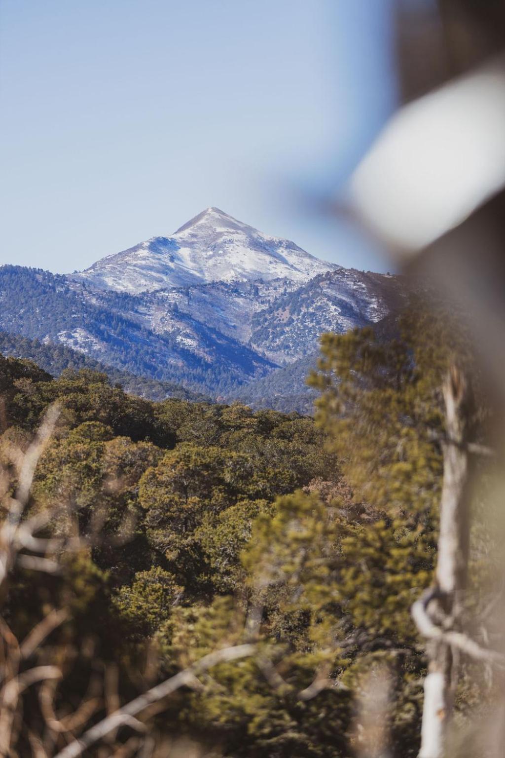 Villa Zia Geo Dome At El Mistico Ranch, Glamping Nogal Exterior foto